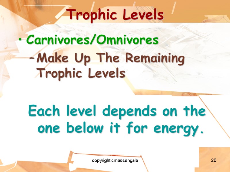 20 Trophic Levels Carnivores/Omnivores Make Up The Remaining Trophic Levels  Each level depends